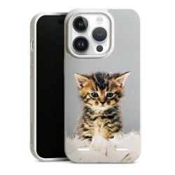 Organic Carry Case Hülle weiss