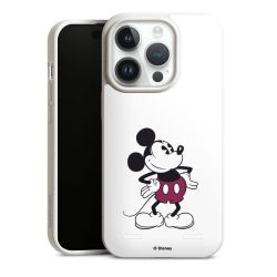 Organic Carry Case Hülle weiss