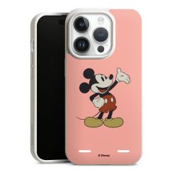 Organic Carry Case Hülle weiss