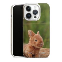 Organic Carry Case Hülle weiss