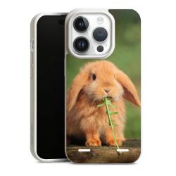 Organic Carry Case Hülle weiss