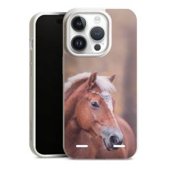 Organic Carry Case Hülle weiss