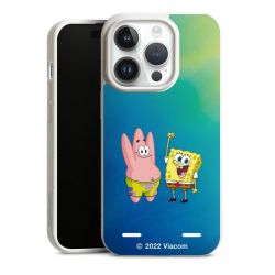 Organic Carry Case Hülle weiss