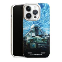 Organic Carry Case Hülle weiss