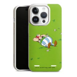 Organic Carry Case Hülle weiss