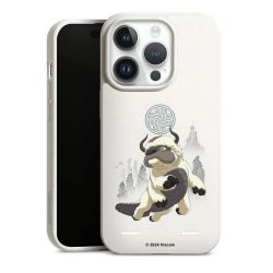 Organic Carry Case Hülle weiss