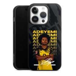 Organic Carry Case Hülle schwarz