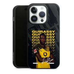 Organic Carry Case Hülle schwarz