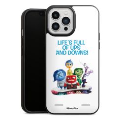 Organic Carry Case Hülle schwarz