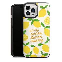 Organic Carry Case Hülle schwarz