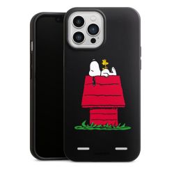 Organic Carry Case Hülle schwarz