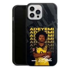 Organic Carry Case Hülle schwarz