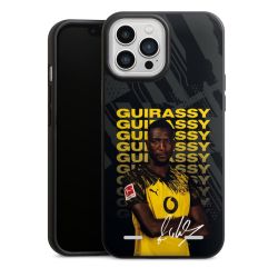 Organic Carry Case Hülle schwarz