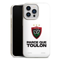 Organic Carry Case Hülle weiss