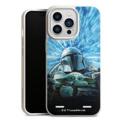 Organic Carry Case Hülle weiss