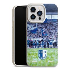 Organic Carry Case Hülle weiss