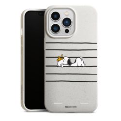 Organic Carry Case Hülle weiss