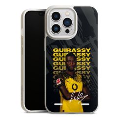 Organic Carry Case Hülle weiss