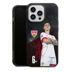 Organic Carry Case Hülle schwarz