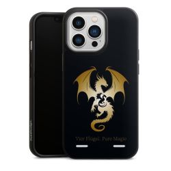 Organic Carry Case Hülle schwarz