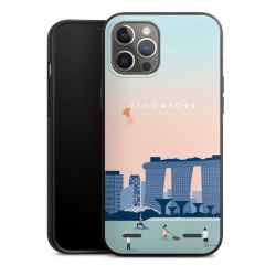 Organic Carry Case Hülle schwarz