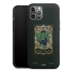 Organic Carry Case Hülle schwarz