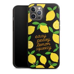 Organic Carry Case Hülle schwarz