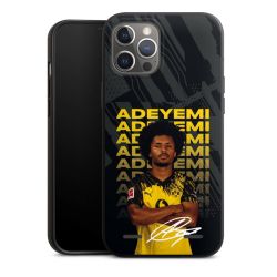 Organic Carry Case Hülle schwarz