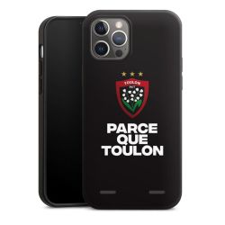 Organic Carry Case Hülle schwarz