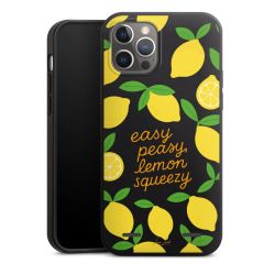 Organic Carry Case Hülle schwarz