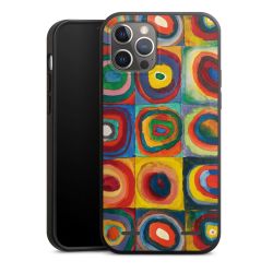 Organic Carry Case Hülle schwarz