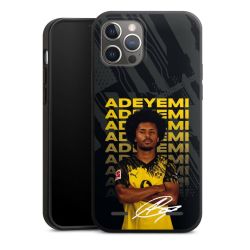 Organic Carry Case Hülle schwarz