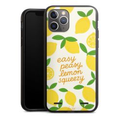 Organic Carry Case Hülle schwarz