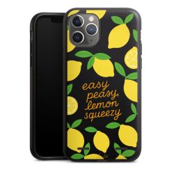 Organic Carry Case Hülle schwarz