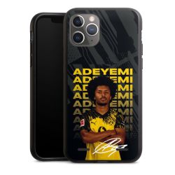 Organic Carry Case Hülle schwarz