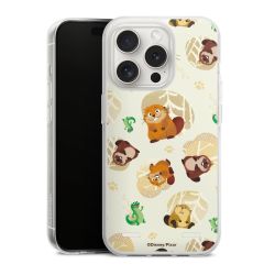 Carry Case Single Transparent