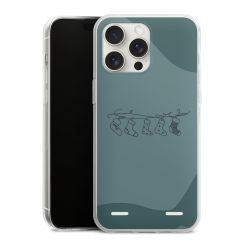 Carry Case Single Transparent