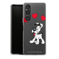 Carry Case Hülle Transparent ohne Band