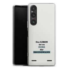 Carry Case Hülle Transparent ohne Band