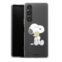 Carry Case Single Transparent