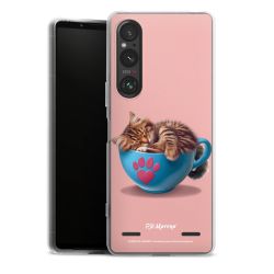 Carry Case Single Transparent