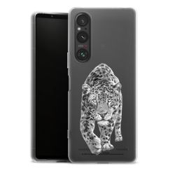 Carry Case Single Transparent