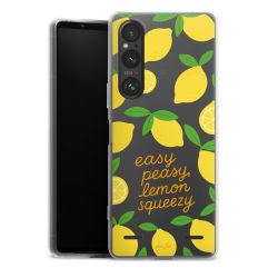 Carry Case Single Transparent