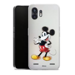 Carry Case Single Transparent