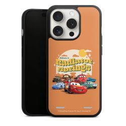 New Carry Case Hülle mattschwarz