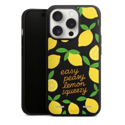 Premium Carry Case Single Matt black