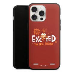 New Carry Case Hülle mattschwarz