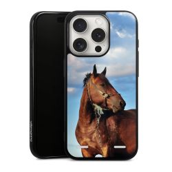 Carry Case Single Black