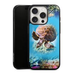 Carry Case Single Black