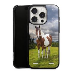 Carry Case Single Black